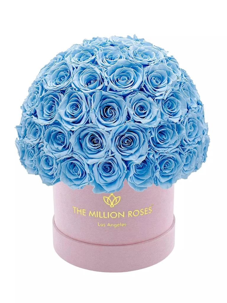 商品The Million Roses|Classic Suede Superdome Box of Roses,价格¥5160,第1张图片