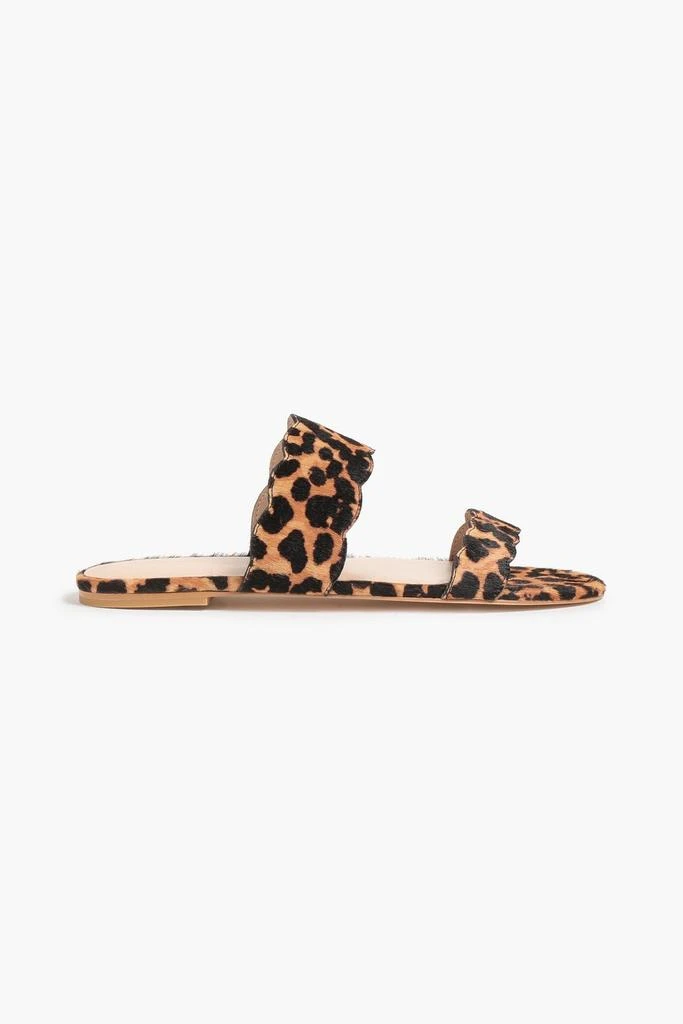 商品Stuart Weitzman|Santorini scalloped leopard-print calf hair sandals,价格¥312,第1张图片