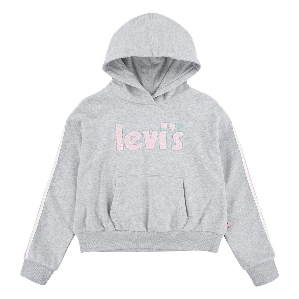 商品Levi's|Graphic Pullover Hoodie (Big Kids),价格¥356,第1张图片