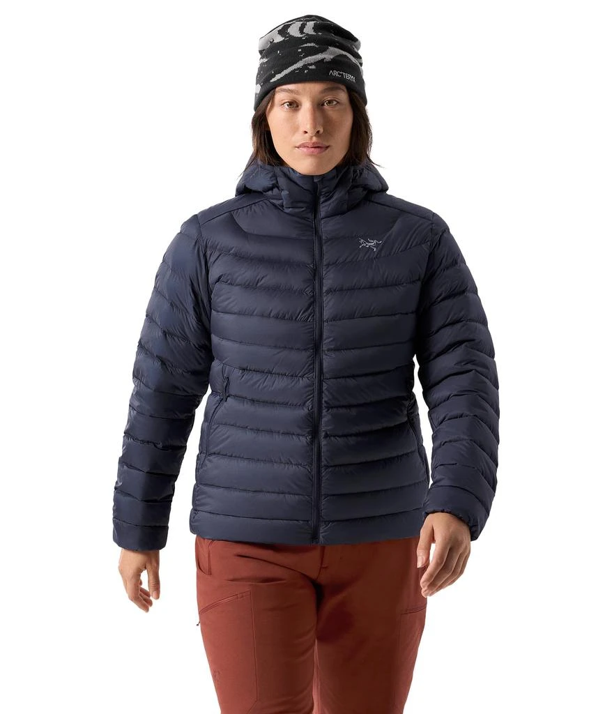 商品Arc'teryx|Cerium Hoodie,价格¥3179,第1张图片