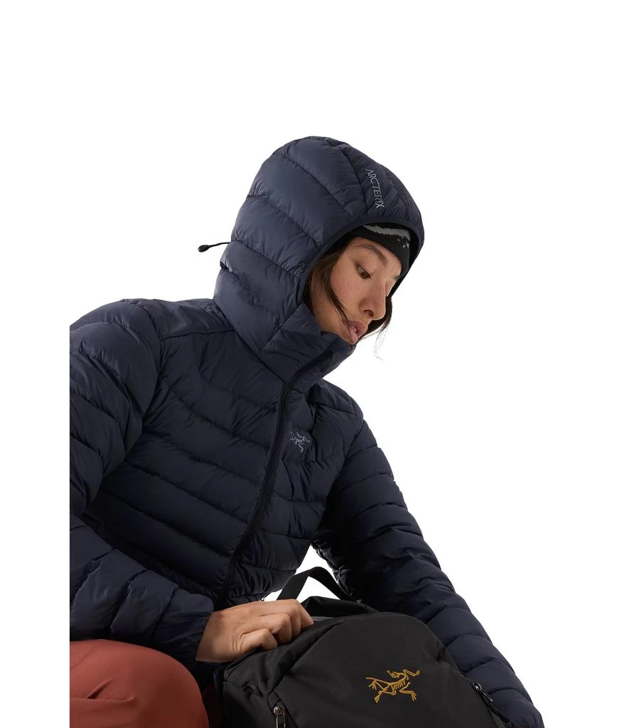 商品Arc'teryx|Cerium Hoodie,价格¥3179,第4张图片详细描述
