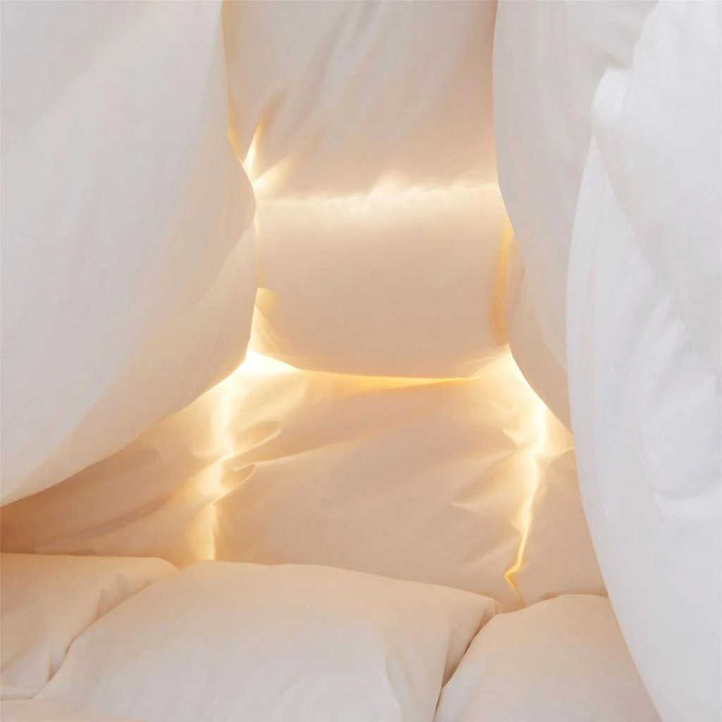 商品Puredown|Made in Germany 800 Fill Power 90% Down Fill European White Goose Down Comforter - Extra Warm,价格¥3023,第4张图片详细描述