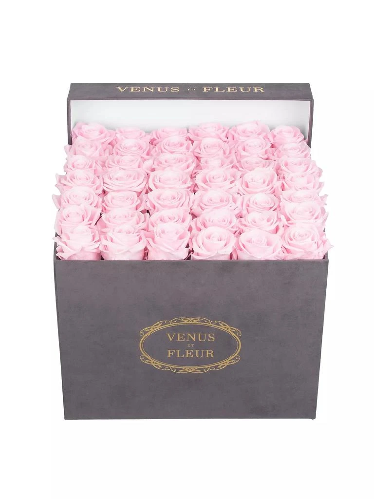 商品Venus ET Fleur|Eternity De Venus Large Suede Square Eternity Roses,价格¥3590,第1张图片详细描述