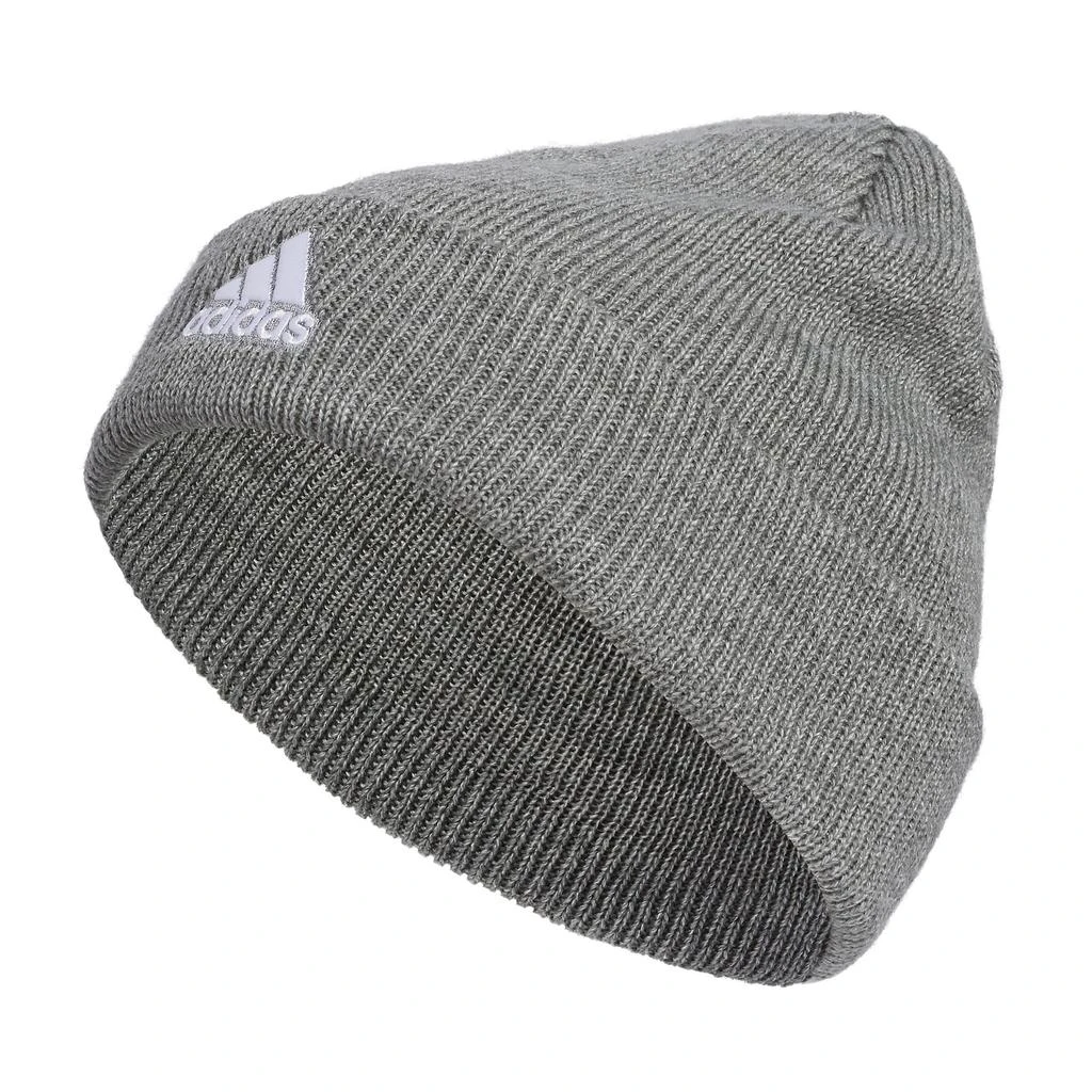 商品 Team Issue Fold Beanie 图