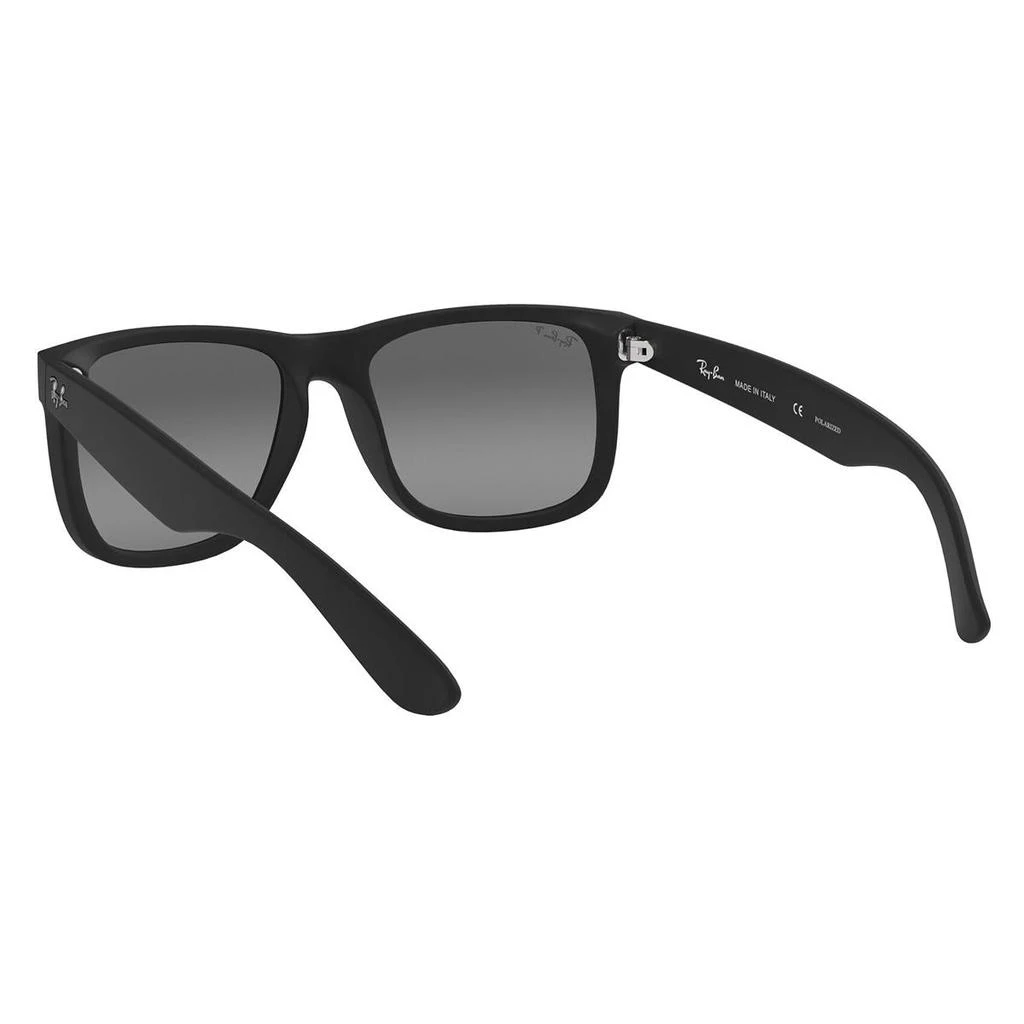 商品Ray-Ban|RAY-BAN Sunglasses,价格¥1355,第4张图片详细描述