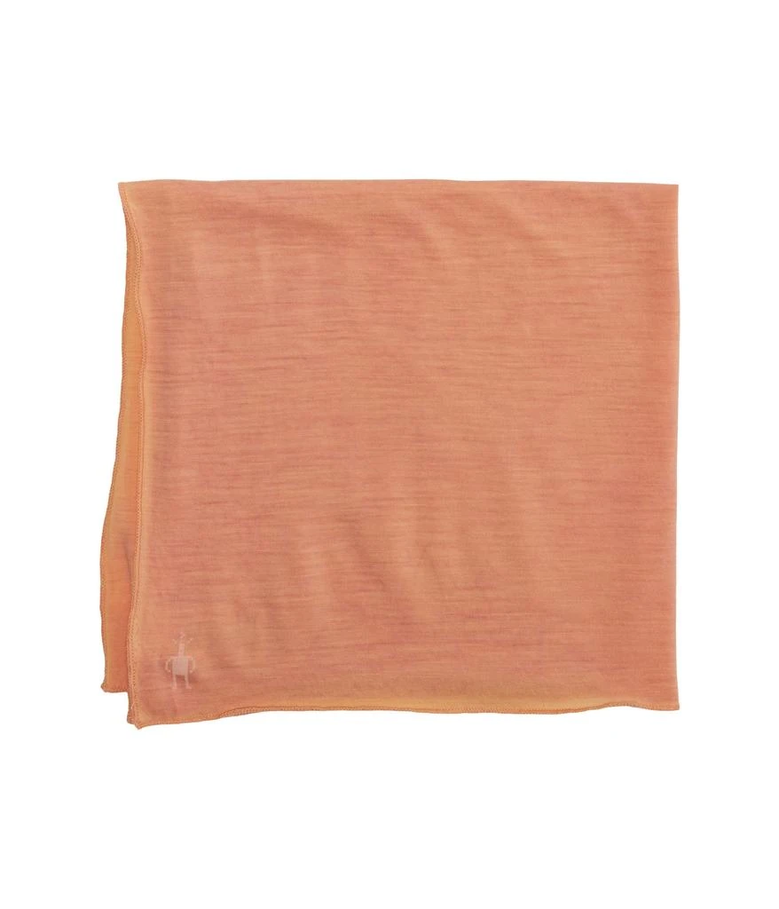 商品SmartWool|Merino 150 Plant-Based Dye Bandana,价格¥159,第2张图片详细描述