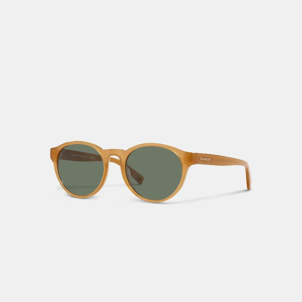 商品Coach|Coach Outlet Wythe Round Sunglasses,价格¥791,第1张图片