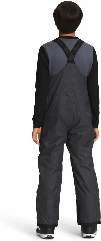 商品The North Face|Teen Freedom Insulated Bib,价格¥425,第2张图片详细描述