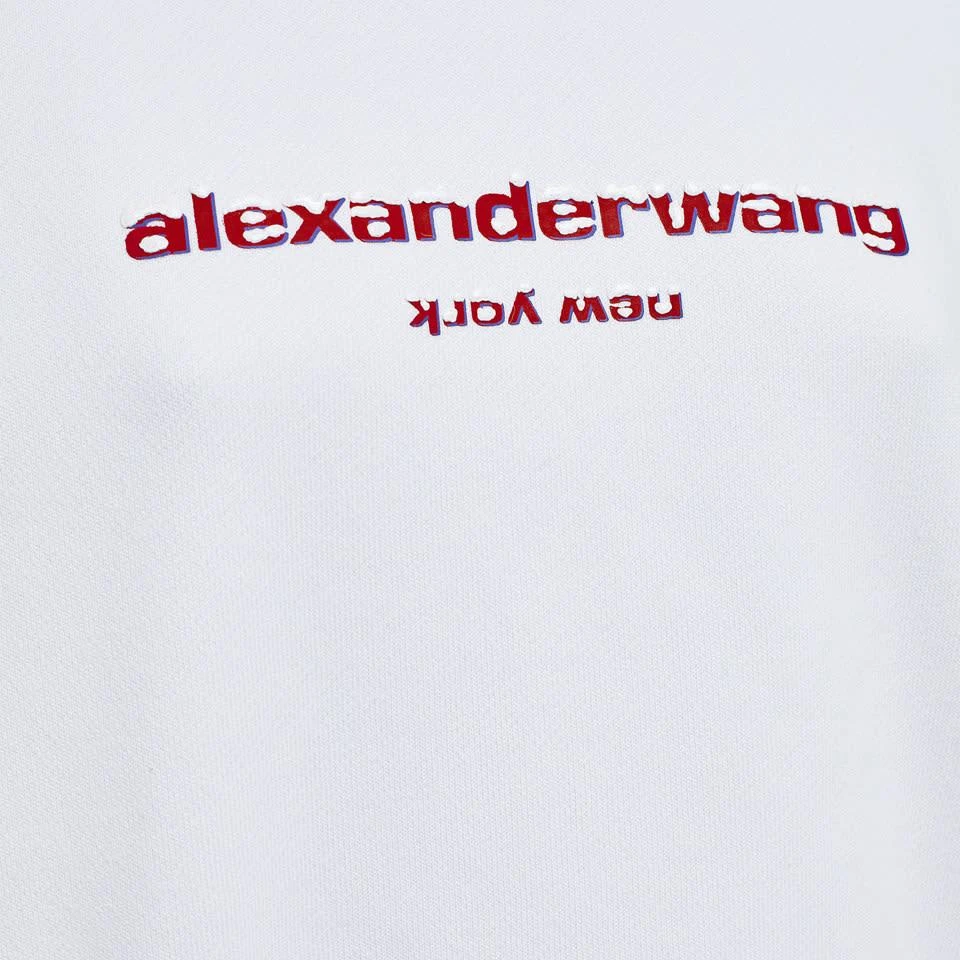 商品Alexander Wang|Alexander Wang Sweatshirt With Graphic,价格¥2479,第3张图片详细描述