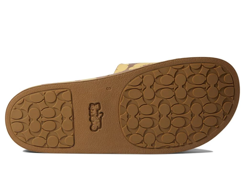商品Coach|Udele Sig Floral Sport Slide,价格¥564,第3张图片详细描述