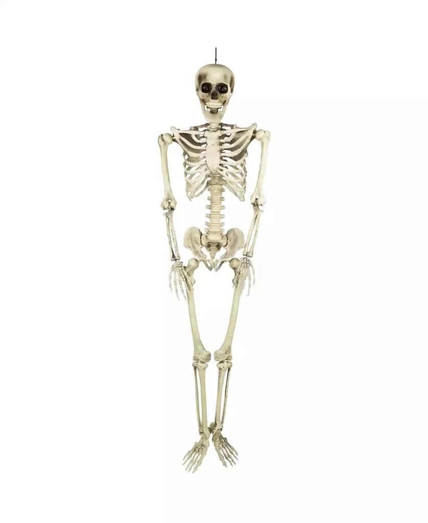 商品Northlight|Life Size Skeleton Halloween Decoration, 5',价格¥837,第1张图片