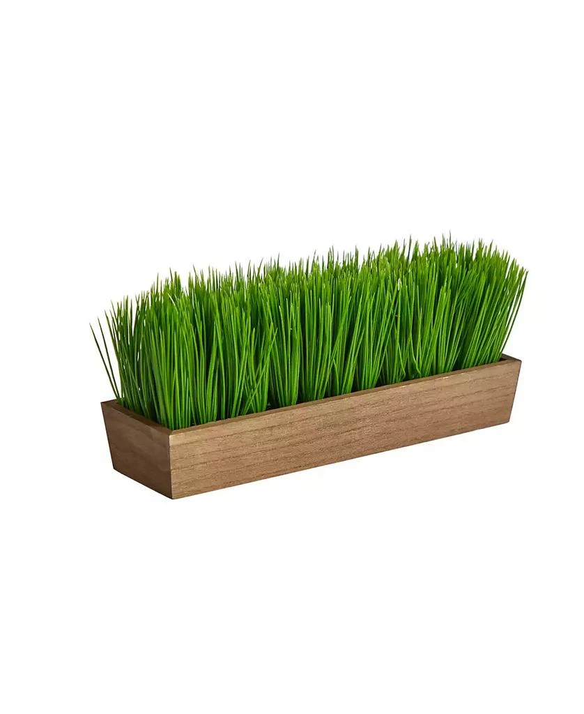 商品NEARLY NATURAL|12" Grass Artificial Plant in Decorative Planter,价格¥223,第3张图片详细描述