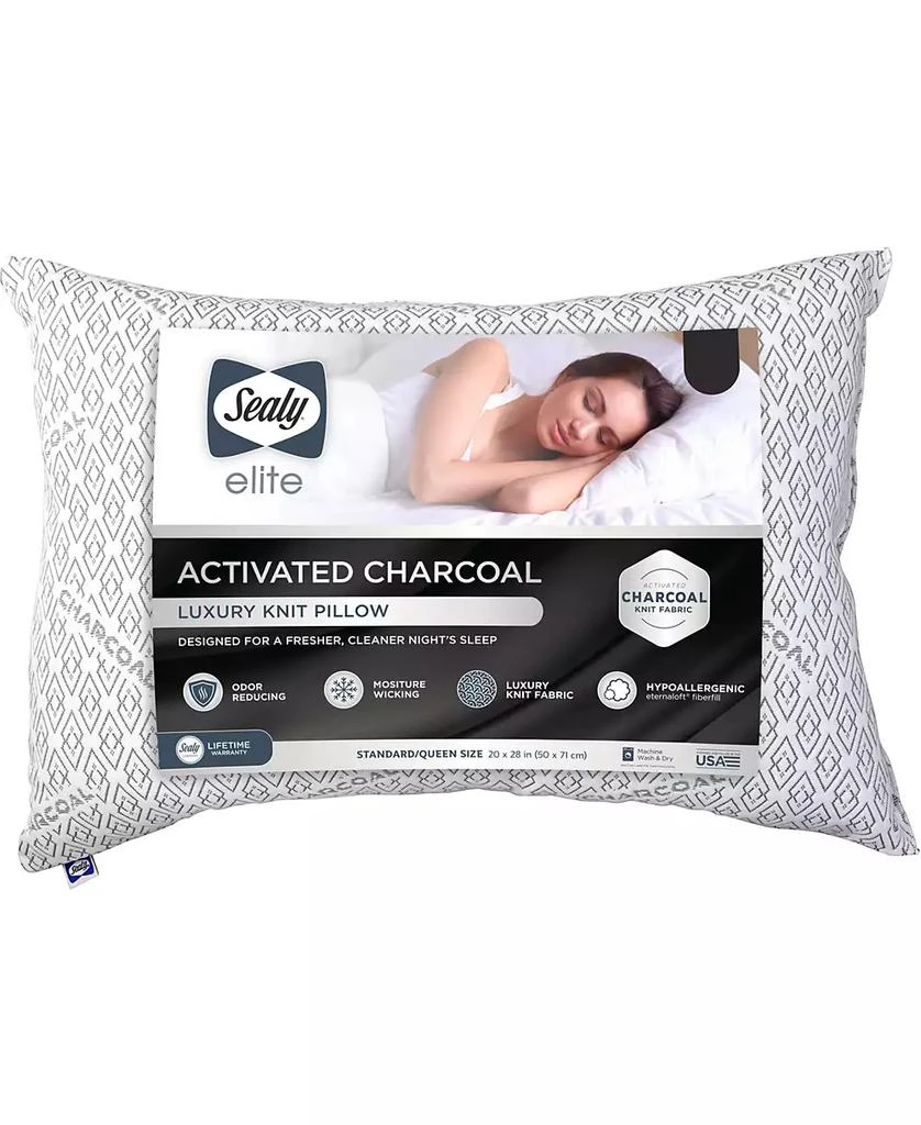 商品Sealy|Charcoal Pillow,价格¥163,第2张图片详细描述