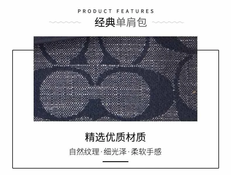 商品Coach|美国直邮COACH蔻驰专柜款女士香布蕾手提单肩包斜挎包 C8513,价格¥3488,第3张图片详细描述