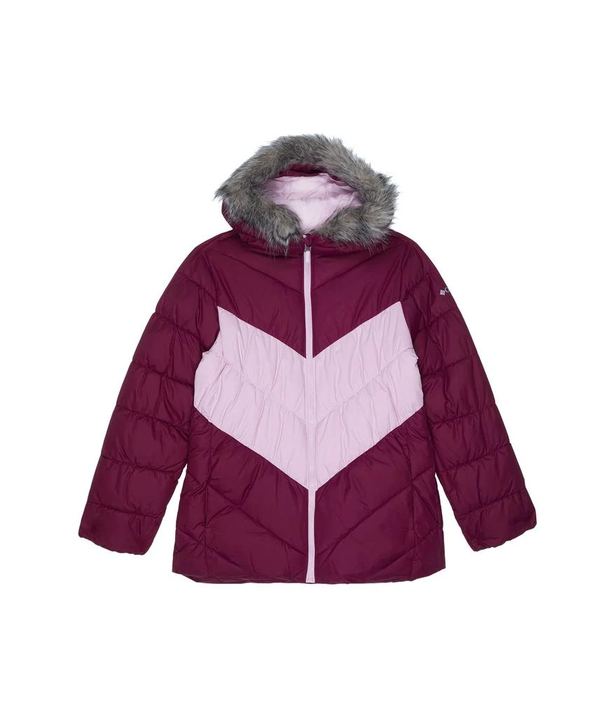 商品Columbia|Arctic Blast™ Jacket (Little Kids/Big Kids),价格¥900,第1张图片