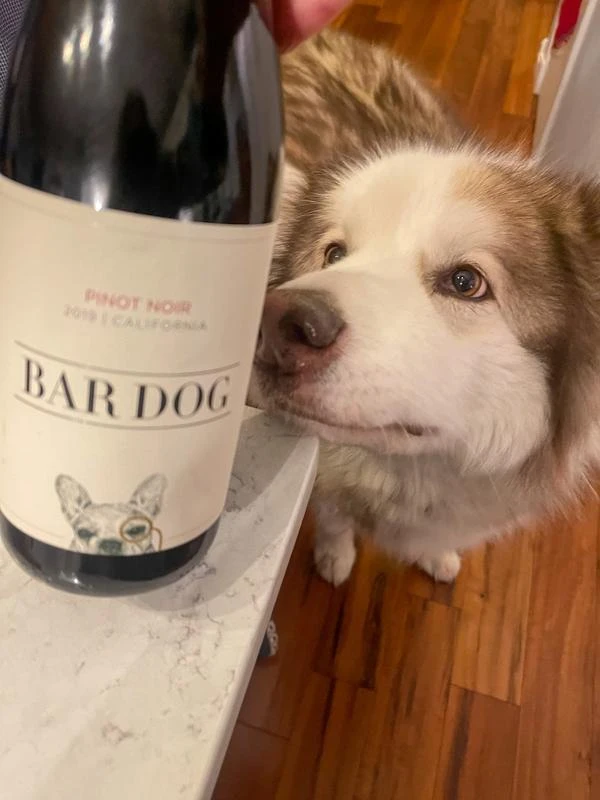 八公犬– 黑皮诺干红葡萄酒 2019 | Bar Dog Pinot Noir 2019 (California） 商品