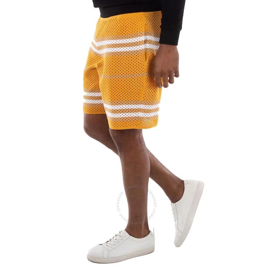 商品Burberry|Marigold Morriss Icon Stripe Pointelle Knit Shorts,价格¥1072,第3张图片详细描述