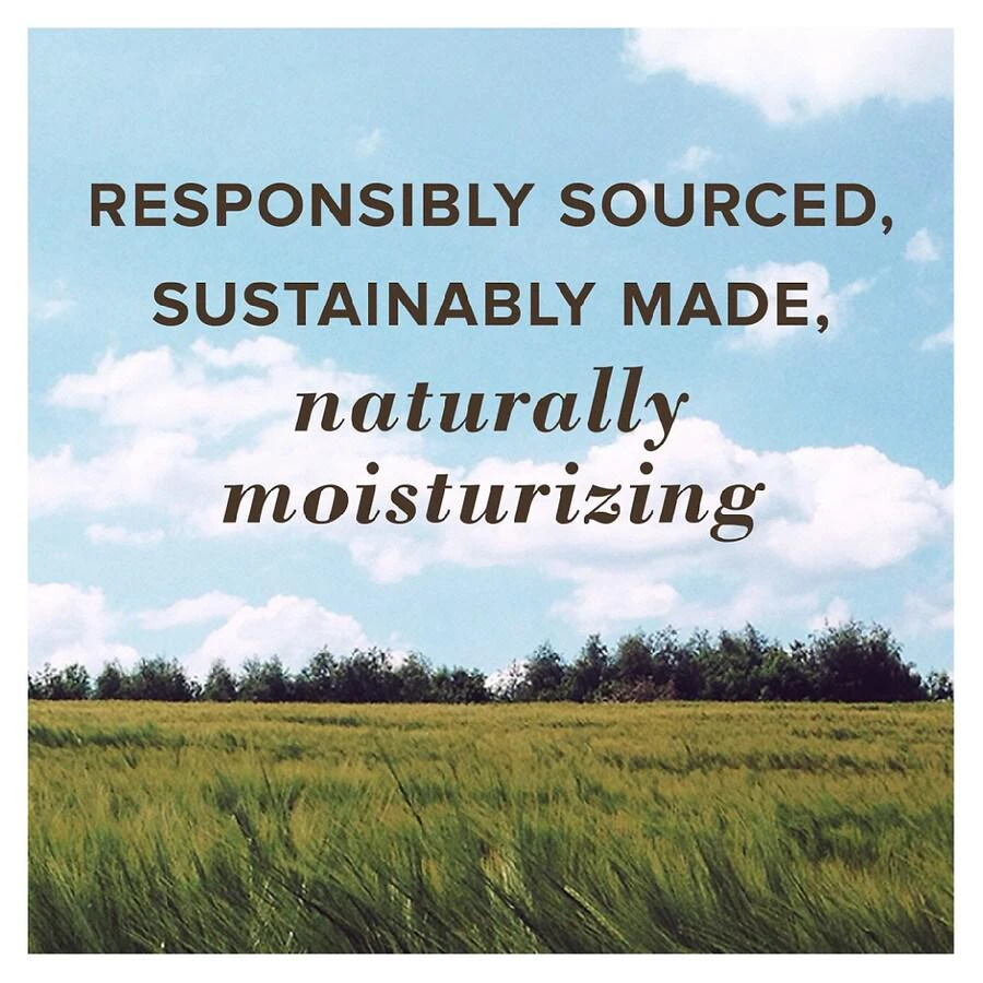 Moisturizing Lip Balm Pack Cucumber Mint with Beeswax 商品