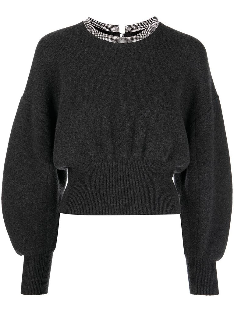 商品Alexander Wang|ALEXANDER WANG WOMEN PULLOVER WITH CRYSTAL TUBULAR NECKLACE,价格¥3187,第5张图片详细描述