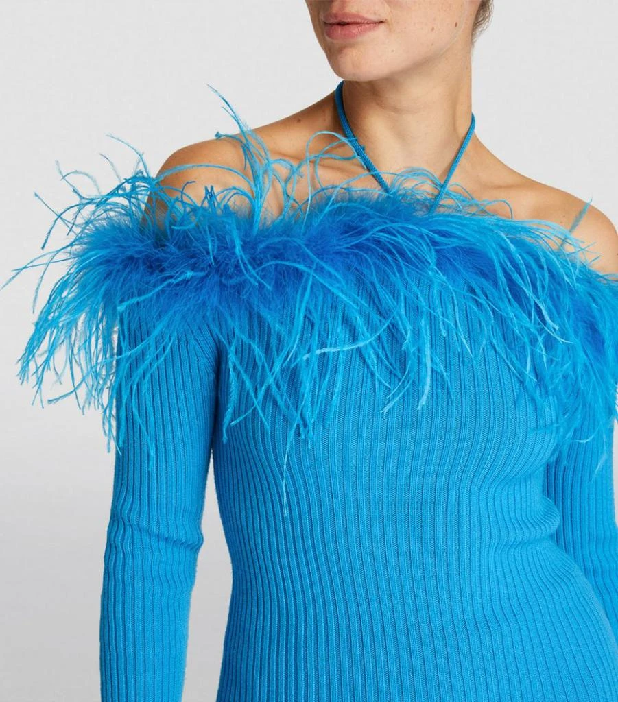 Feather-Trimmed Off-The-Shoulder Sweater 商品