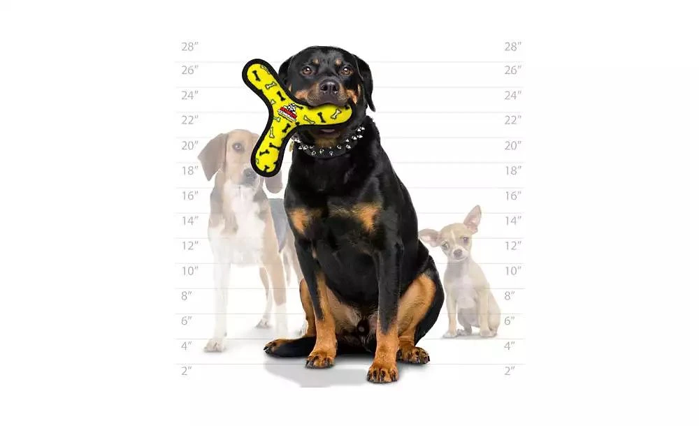 Ultimate Boomerang Yellow Bone, 2-Pack Dog Toys 商品