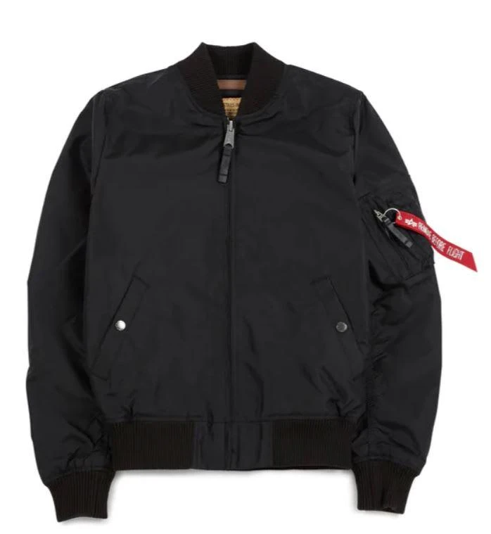 商品Alpha Industries|Alpha Industries Ma-1 Tt Nasa,价格¥1056,第1张图片