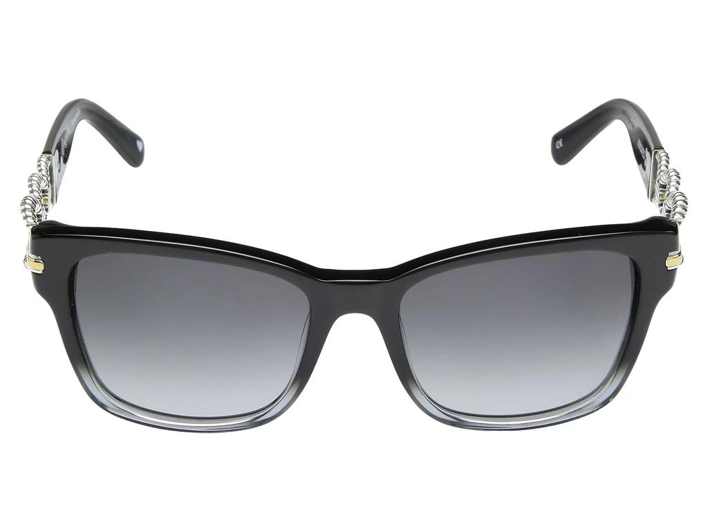 商品Brighton|Kindred Fade Sunglasses,价格¥895,第2张图片详细描述