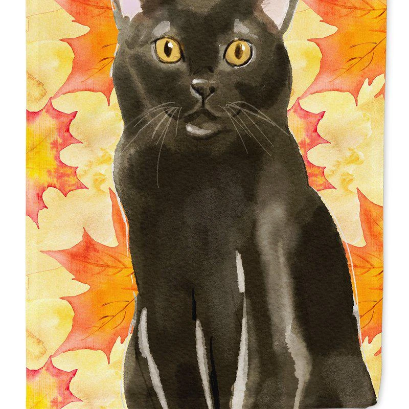 商品Caroline's Treasures|Bombay Fall Leaves Garden Flag 2-Sided 2-Ply,价格¥135,第1张图片