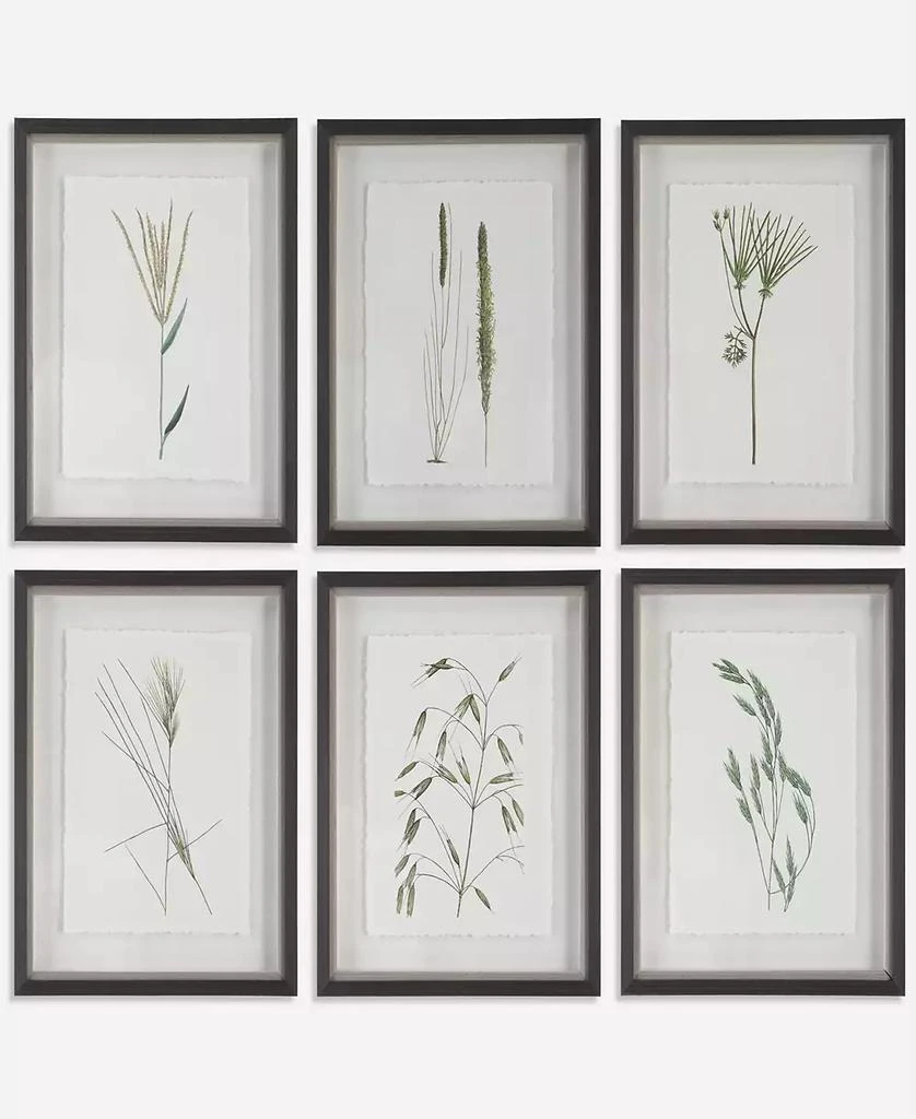 商品Uttermost|Forest Finds Framed Prints Art, Set of 6,价格¥4764,第1张图片