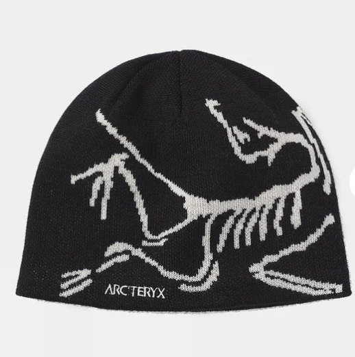 商品Arc'teryx|Arc'teryx Mens Bird Head Toque Beanie,价格¥536,第1张图片