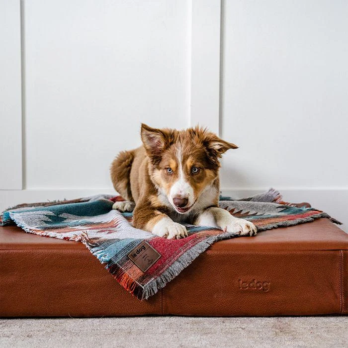 商品Le Dog Company|Leather Dog Bed,价格¥1963,第4张图片详细描述