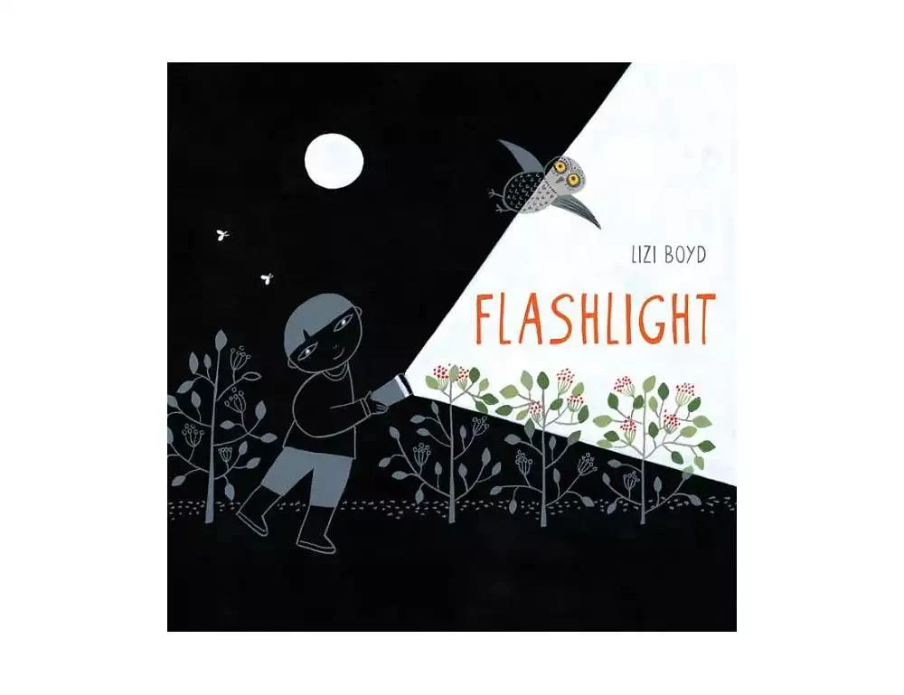 商品Barnes & Noble|Flashlight: (Picture Books, Wordless Books for Kids, Camping Books for Kids, Bedtime Story Books, Children's Activity Books, Children's Nature Books) by Lizi Boyd,价格¥127,第1张图片