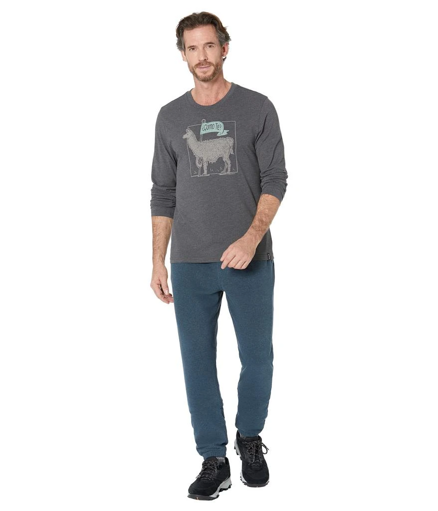 商品Prana|Journeyman Long Sleeve T-Shirt Slim Fit,价格¥336,第4张图片详细描述