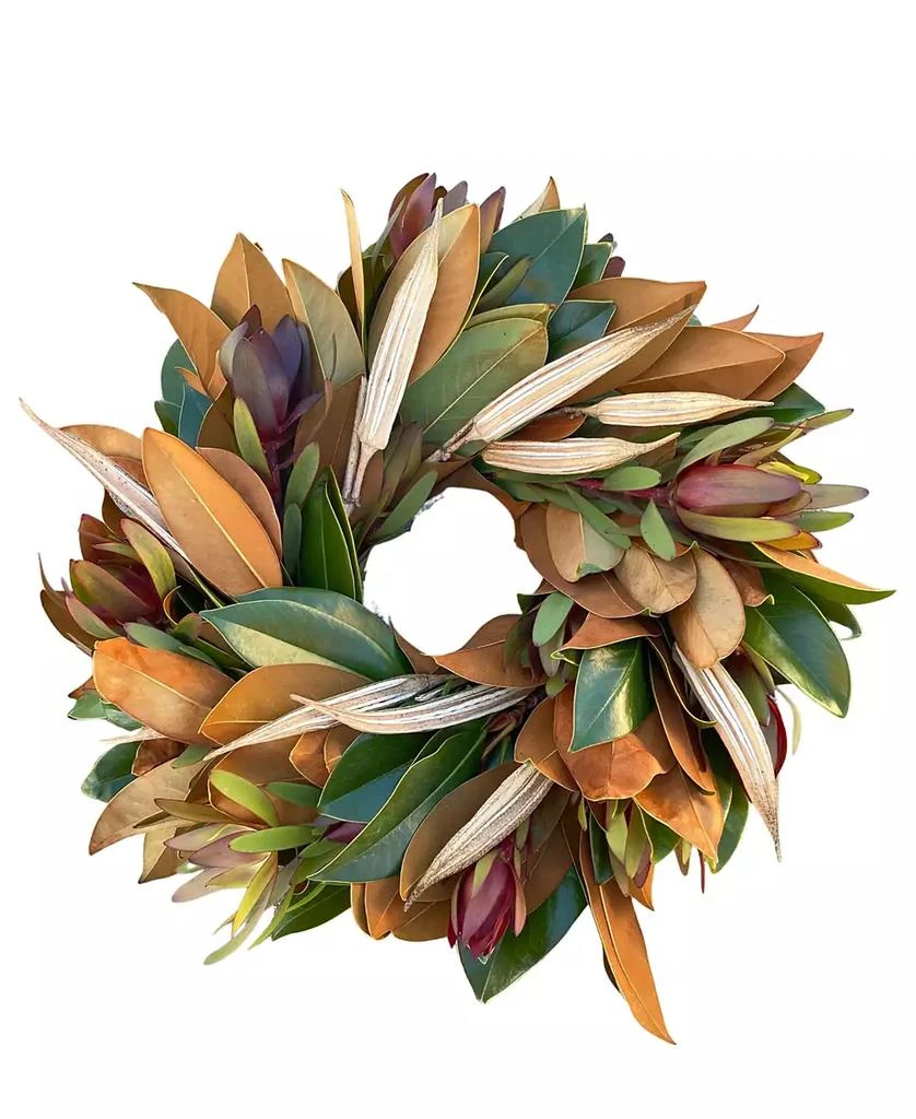商品GreenishBlu|Fresh Real Magnolia, Safari and Dried Okra Wreath,价格¥619,第1张图片