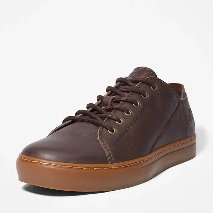 Adventure 2.0 Trainer for Men in Dark Brown 商品