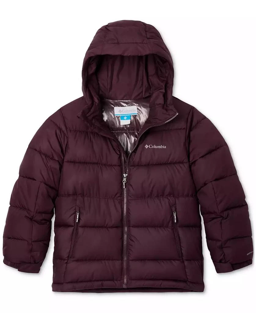 商品Columbia|Big Girls Pike Lake II Quilted Full-Zip Hooded Puffer Jacket,价格¥506,第1张图片