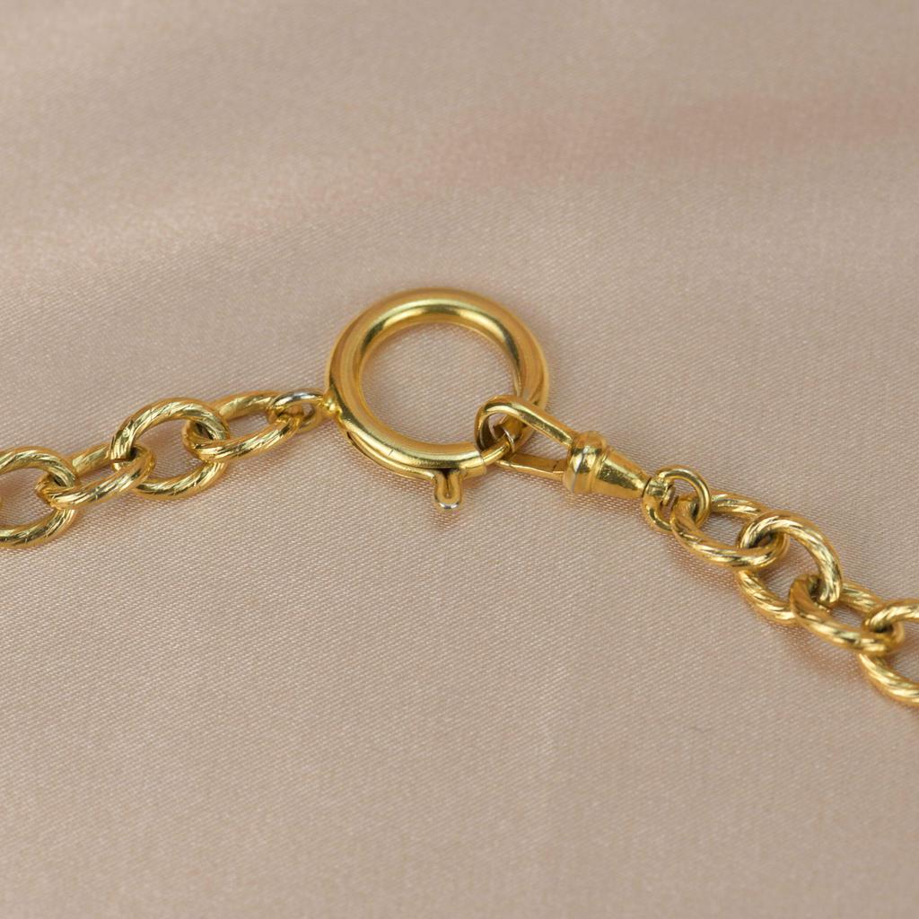 Chanel Vintage Gold Plated Chain Necklace with Six Iconic Charms商品第10张图片规格展示