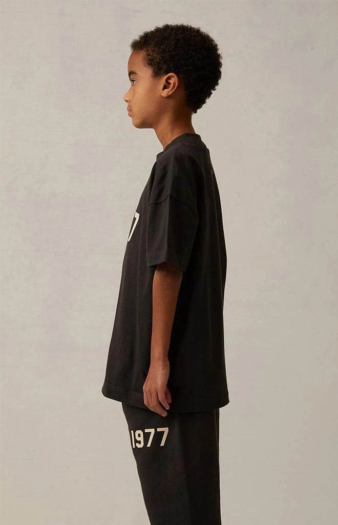 商品Essentials|Iron T-Shirt,价格¥247,第3张图片详细描述