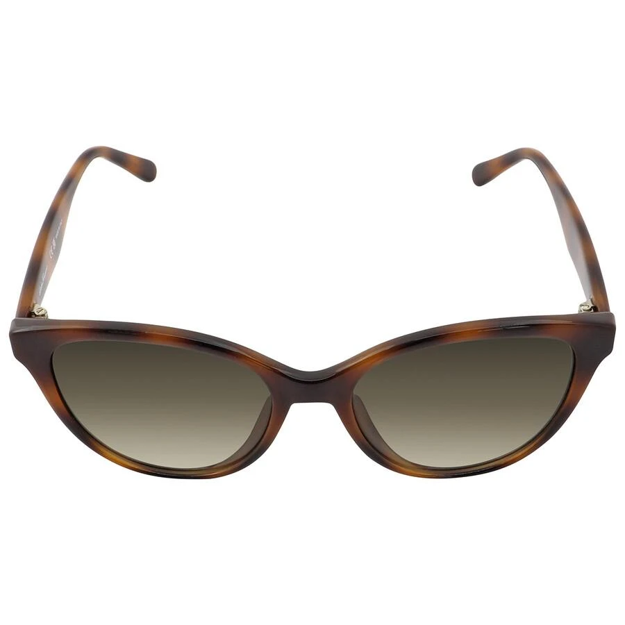 商品Salvatore Ferragamo|Salvatore Ferragamo Grey Gradient Butterfly Ladies Sunglasses SF1073S 240 54,价格¥414,第1张图片