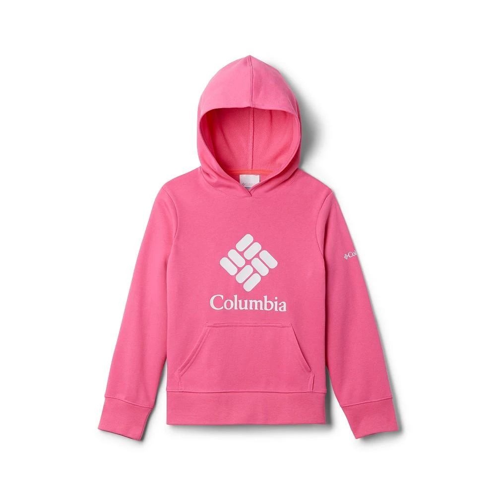 商品Columbia|Big Girls Trek French Terry Pullover Hoodie,价格¥156,第1张图片