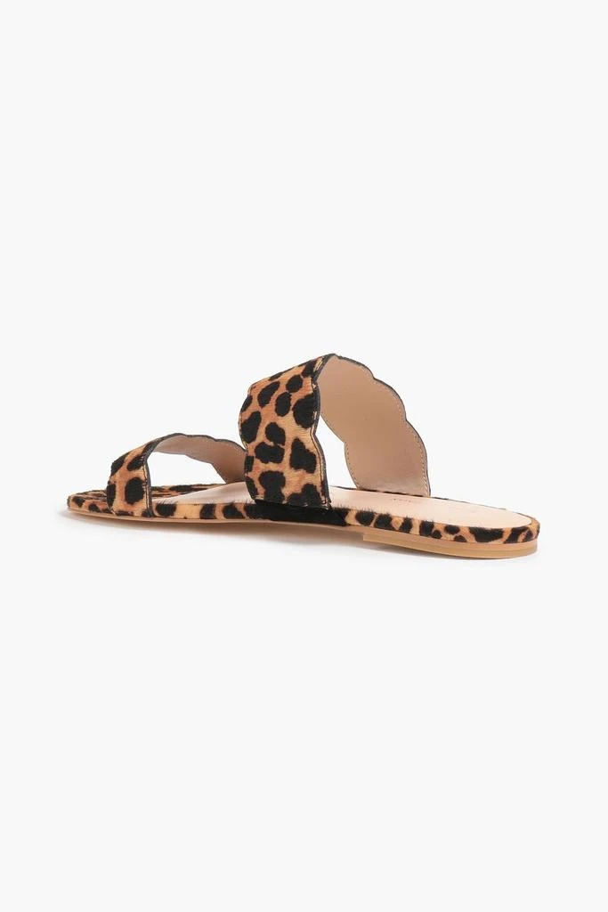 商品Stuart Weitzman|Santorini scalloped leopard-print calf hair sandals,价格¥312,第3张图片详细描述