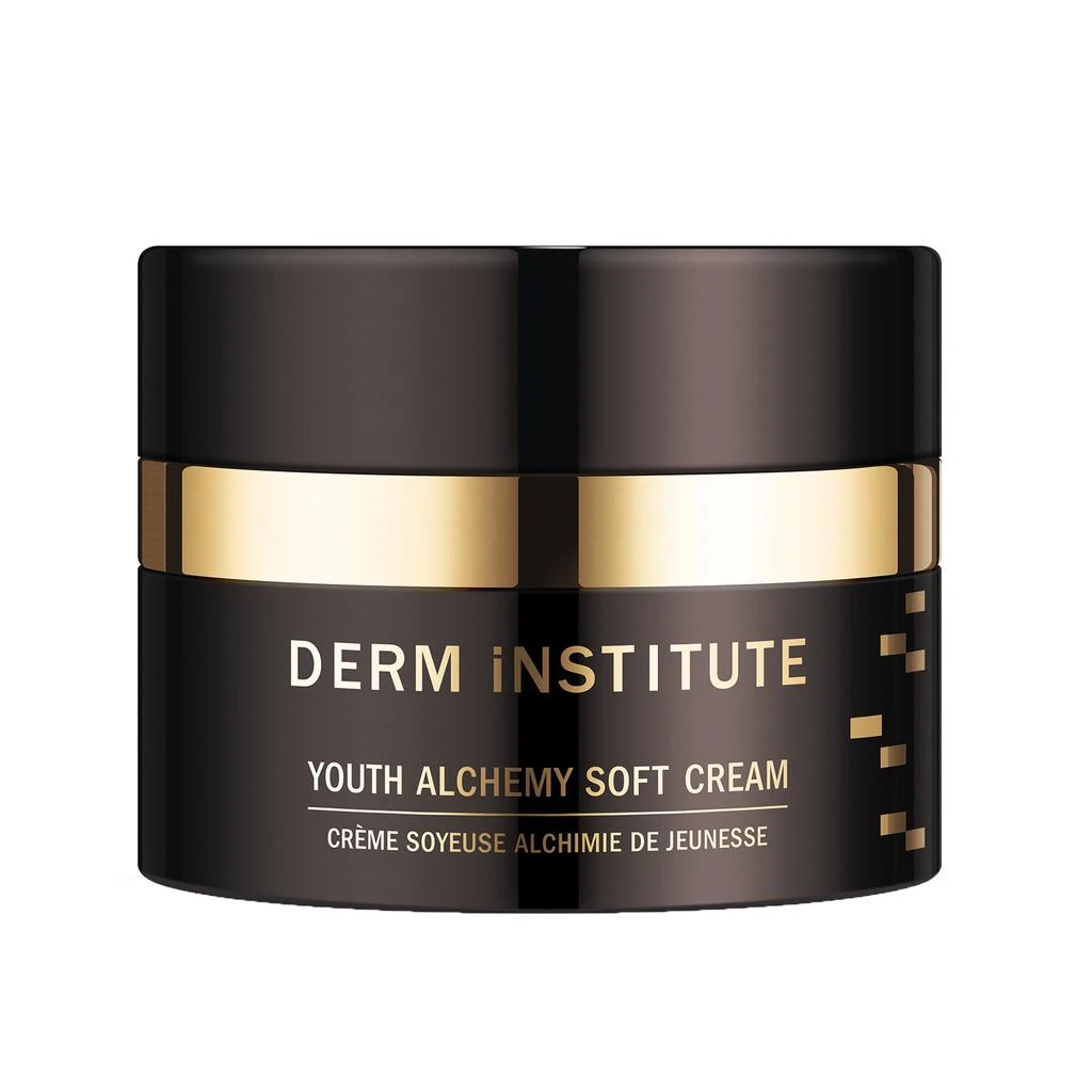 商品DERM iNSTITUTE|Youth Alchemy Soft Cream,价格¥1988,第1张图片