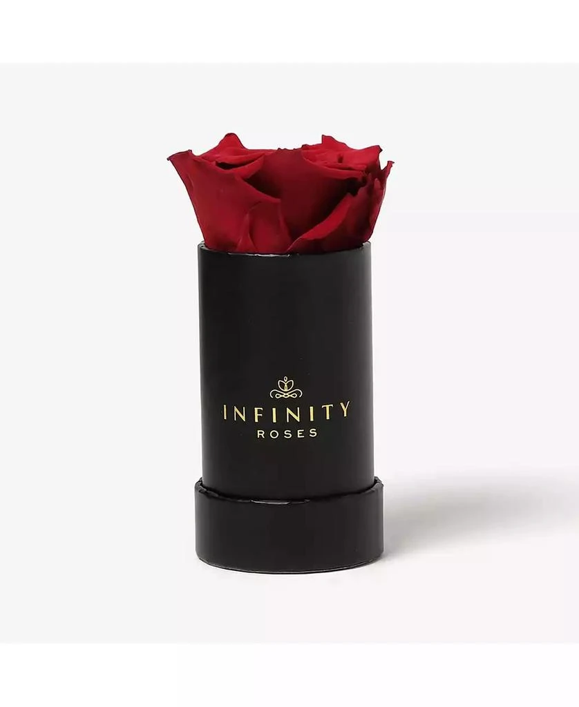 商品Infinity Roses|Single Red Real Rose Preserved To Last Over A Year,价格¥299,第1张图片