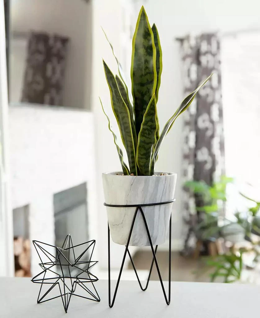 商品Flora Bunda|21" Snake Plant in Marble on Metal Stand,价格¥592,第3张图片详细描述
