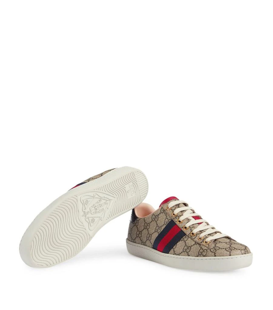 GG Supreme Canvas Ace Sneakers 商品