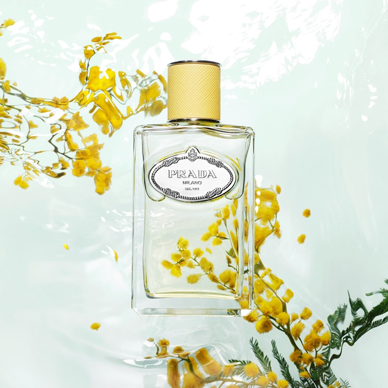 Prada普拉达INFUSION「含羞一笑」女士香水100ml EDP浓香水商品第5张图片规格展示