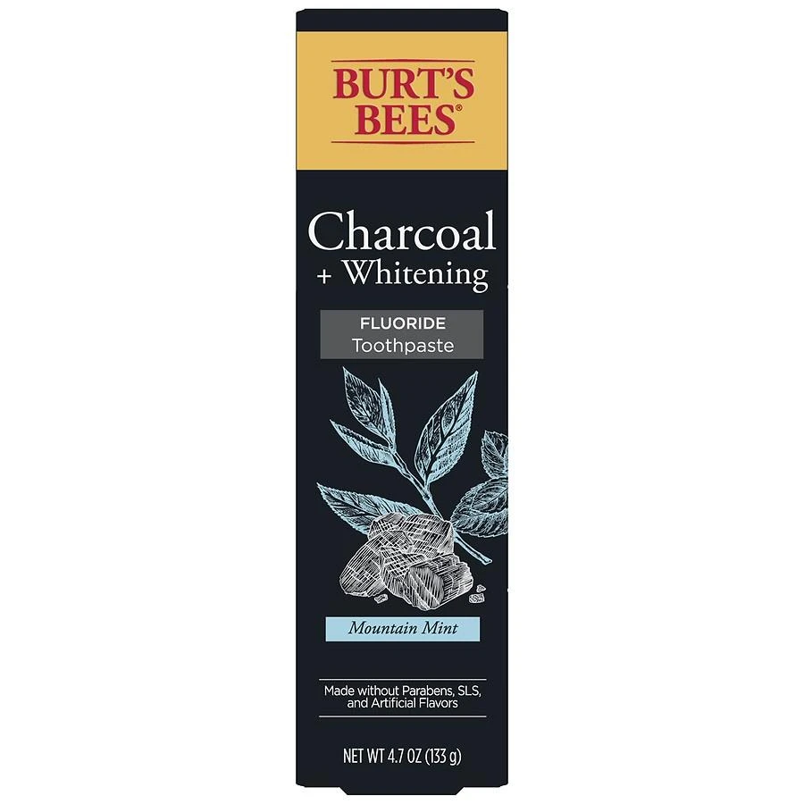 商品Burt's Bees|Toothpaste, Natural Flavor, Charcoal with Fluoride Toothpaste Mountain Mint,价格¥42,第1张图片