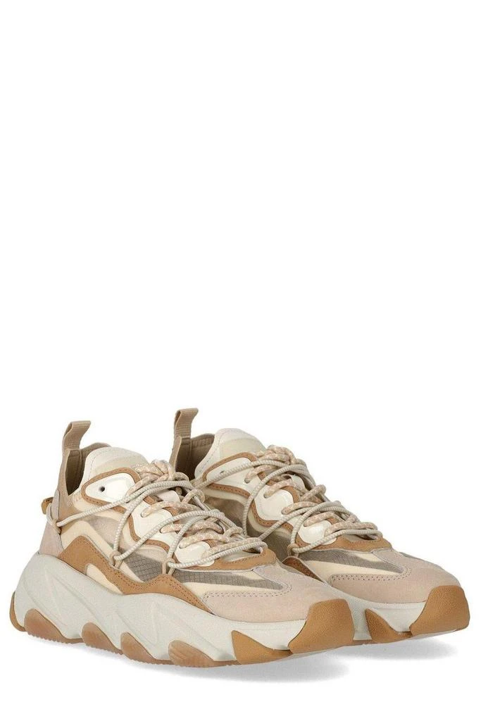 商品Ash|Extra Bis Gardenia Almond Toe Sneaker,价格¥2283,第4张图片详细描述