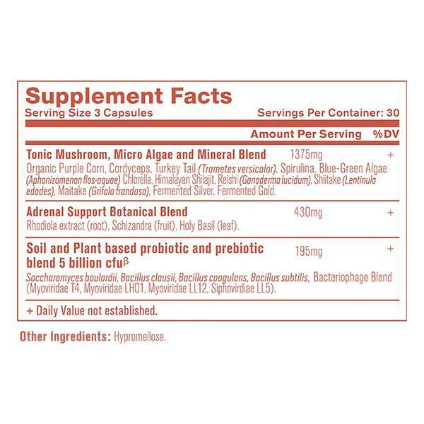 商品Ancient Nutrition|肾上腺素调节,价格¥316,第2张图片详细描述
