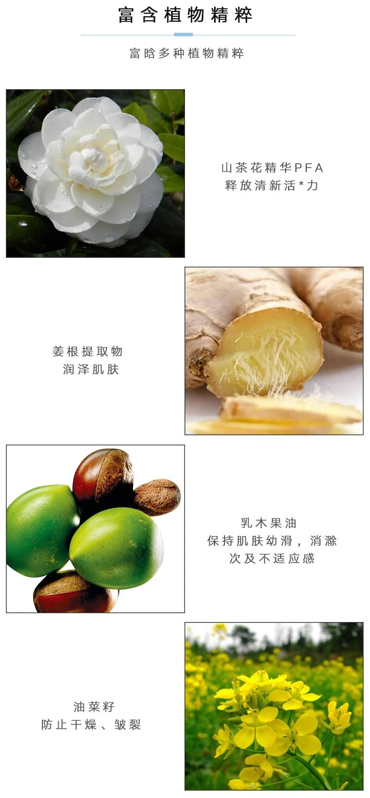 商品Chanel|Chanel香奈儿山茶花保湿凝霜面霜50G,价格¥975,第6张图片详细描述
